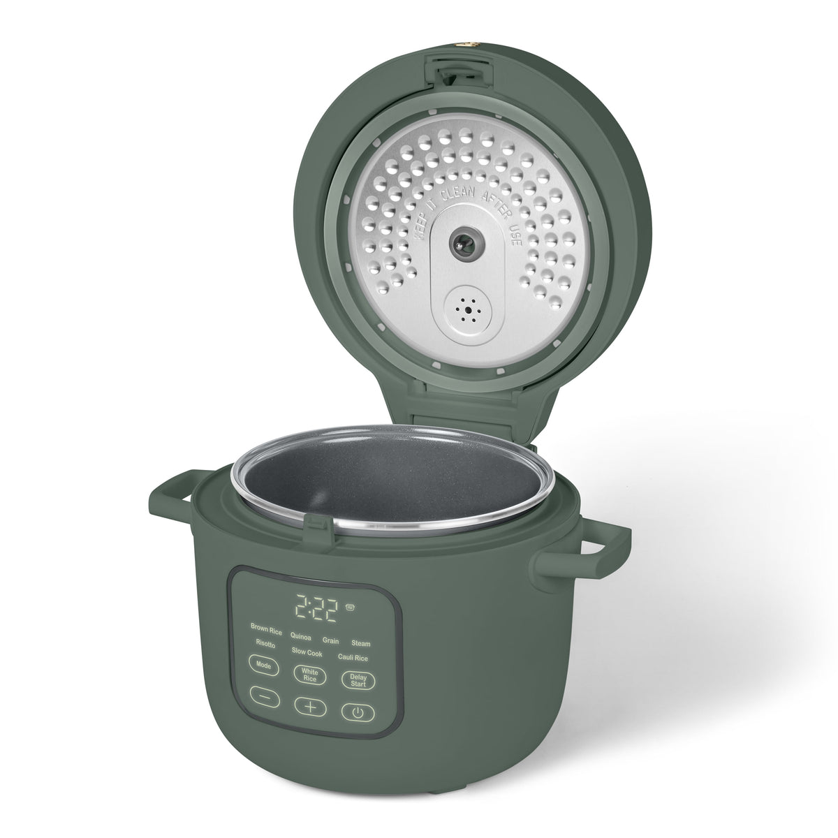 Beautiful 14-Cup Cooked, 6-Cups Uncooked Electric Rice and Grain Cooker, EverGood Ceramic Nonstick Coating, Thyme Green by Drew Barrymore