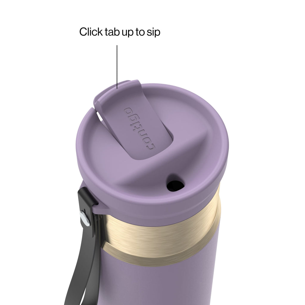 Contigo 24oz SnapSeal Insulated Stainless Steel Water Bottle with Straw, Licorice Black/Bronze