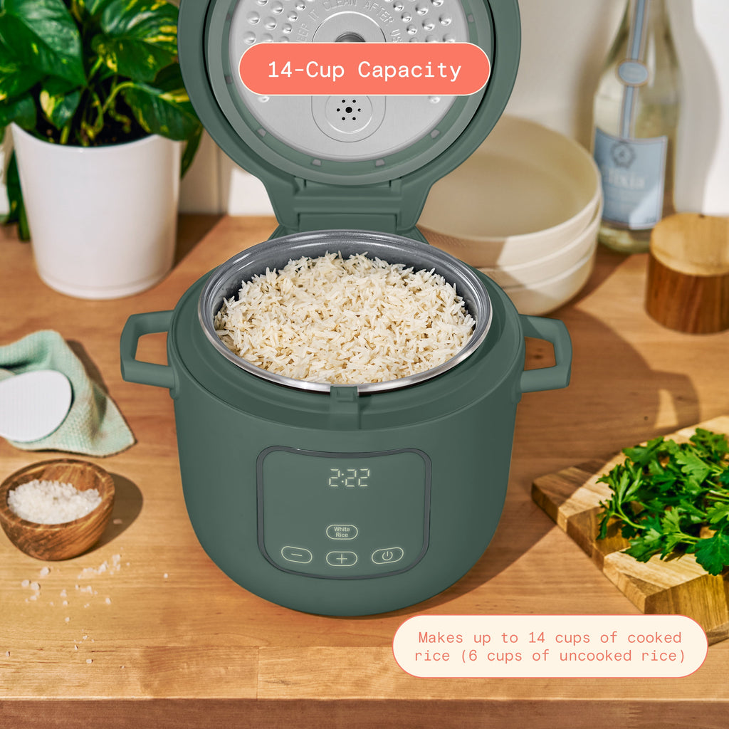 Beautiful 14-Cup Cooked, 6-Cups Uncooked Electric Rice and Grain Cooker, EverGood Ceramic Nonstick Coating, Thyme Green by Drew Barrymore