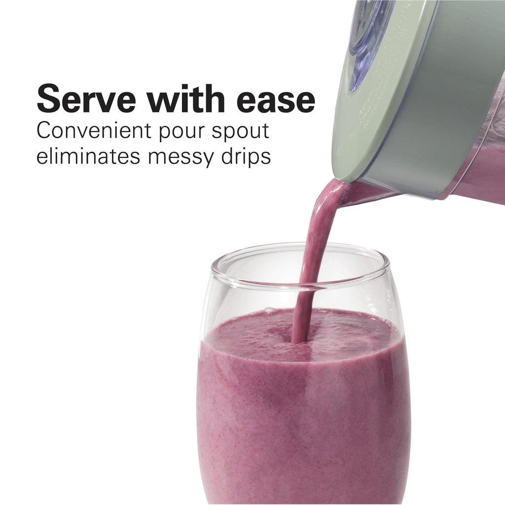 Hamilton Beach Smoothie Blender, 48 oz BPA-Free Jar 650 W 12-Function Countertop Blender for Kitchen, Black