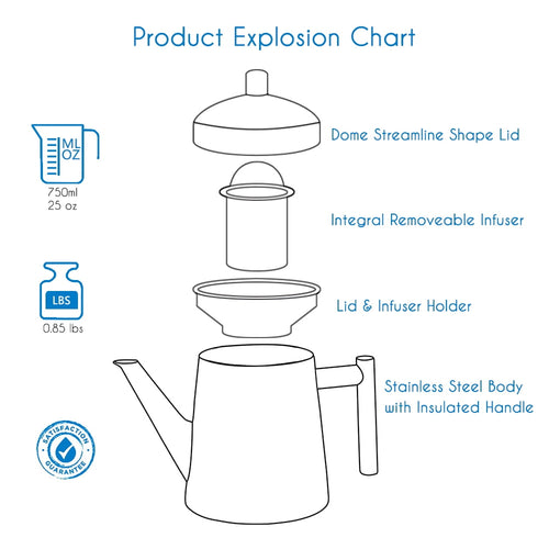 Easyworkz Stainless Steel Teapot with Removeable Infuser 27 oz Stovetop Tea Maker for Fruit and Herbal Tea