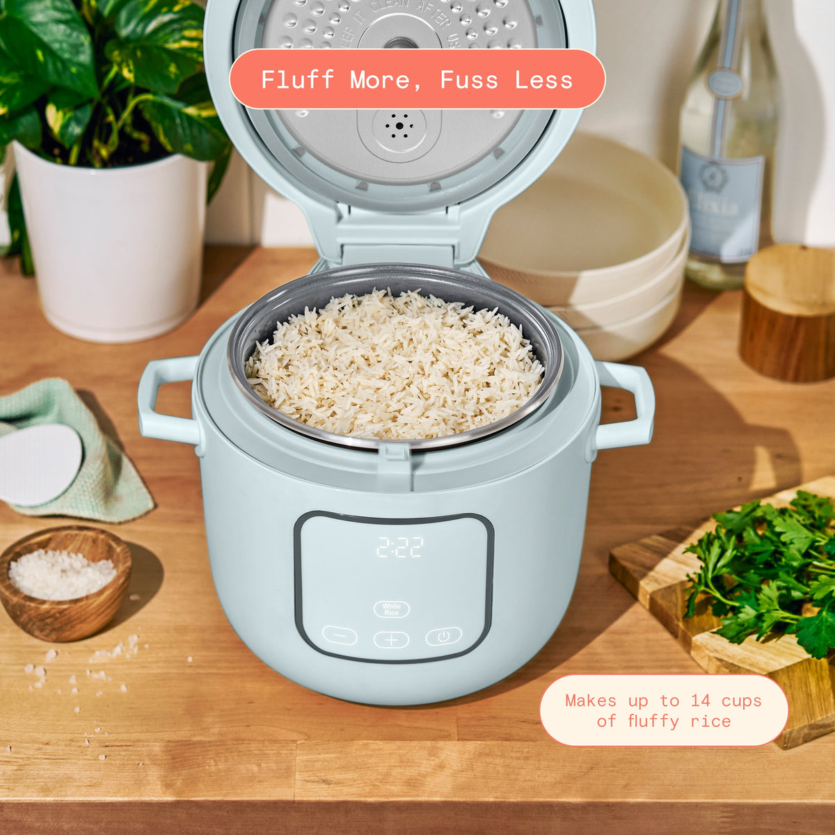 Beautiful 14-Cup Cooked, 6-Cups Uncooked Electric Rice and Grain Cooker, EverGood Ceramic Nonstick Coating, Thyme Green by Drew Barrymore