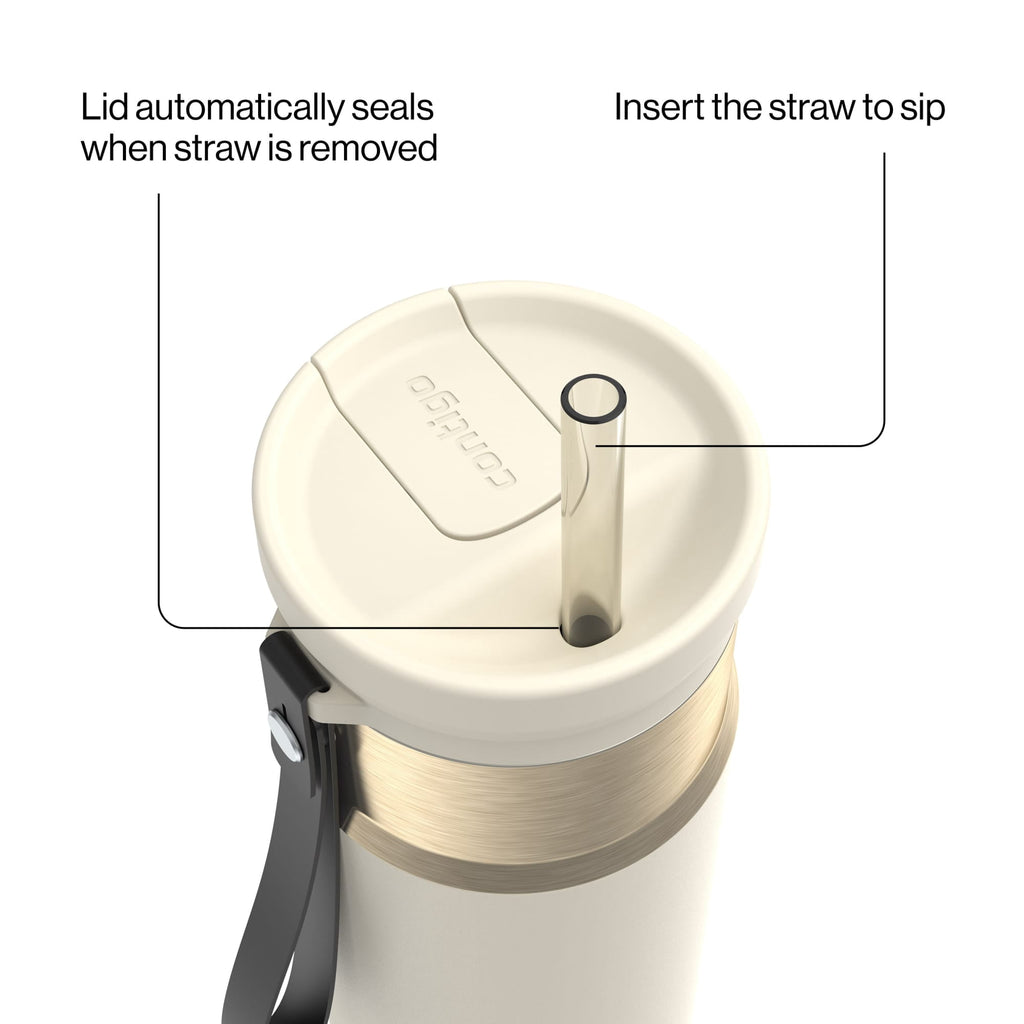 Contigo 24oz SnapSeal Insulated Stainless Steel Water Bottle with Straw, Licorice Black/Bronze