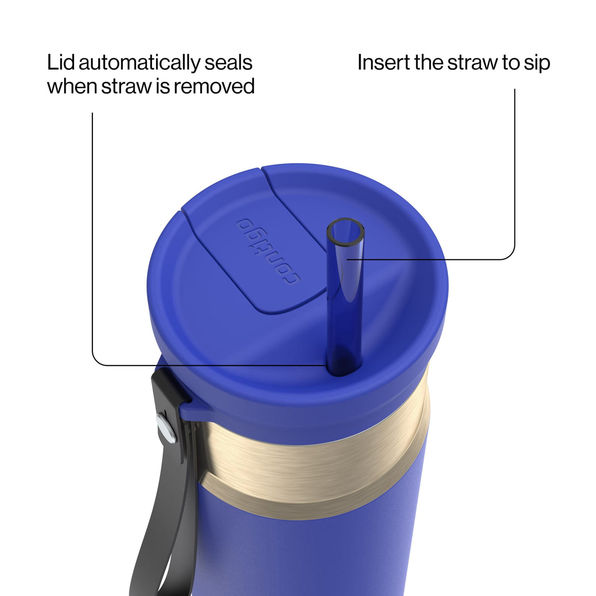 Contigo 24oz SnapSeal Insulated Stainless Steel Water Bottle with Straw, Licorice Black/Bronze