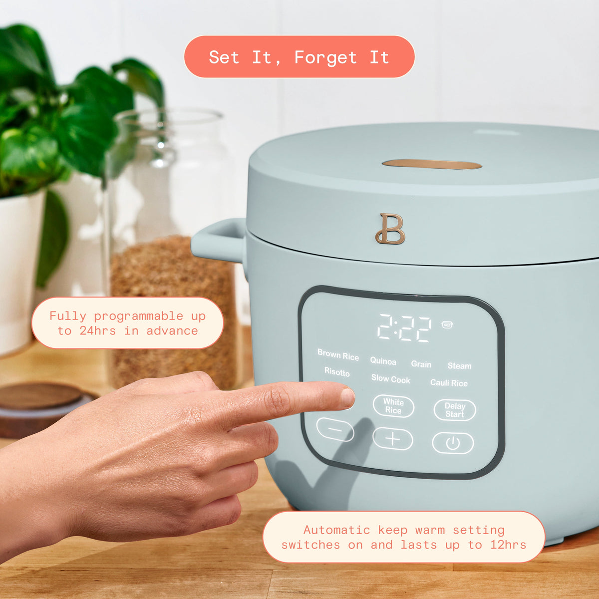 Beautiful 14-Cup Cooked, 6-Cups Uncooked Electric Rice and Grain Cooker, EverGood Ceramic Nonstick Coating, Thyme Green by Drew Barrymore