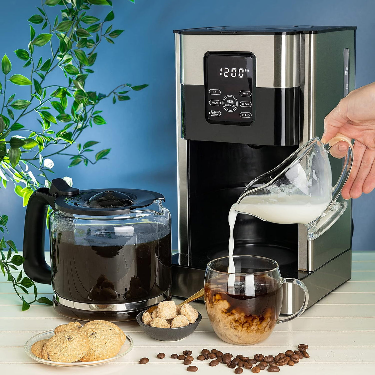 Mixpresso 12 Cup Coffee Pot, Auto-Off & Reusable Filter, Large Drip Coffee Maker 12 Cup Borosilicate Glass Carafe, Anti-Drip Coffee Machine Water Level Window, Black Electric Coffee Maker