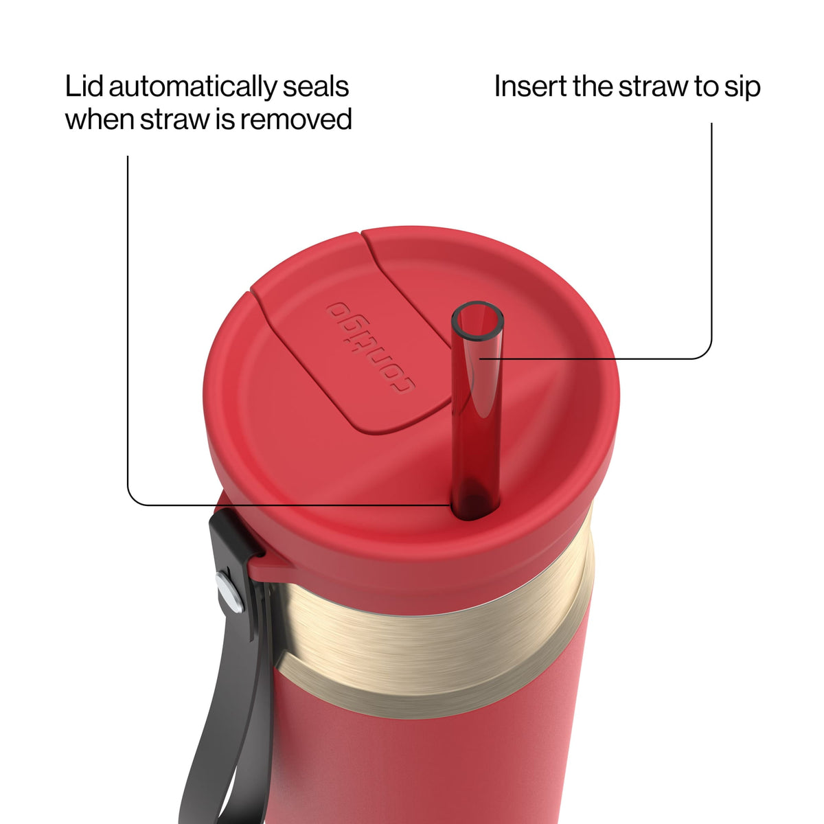 Contigo 24oz SnapSeal Insulated Stainless Steel Water Bottle with Straw, Licorice Black/Bronze