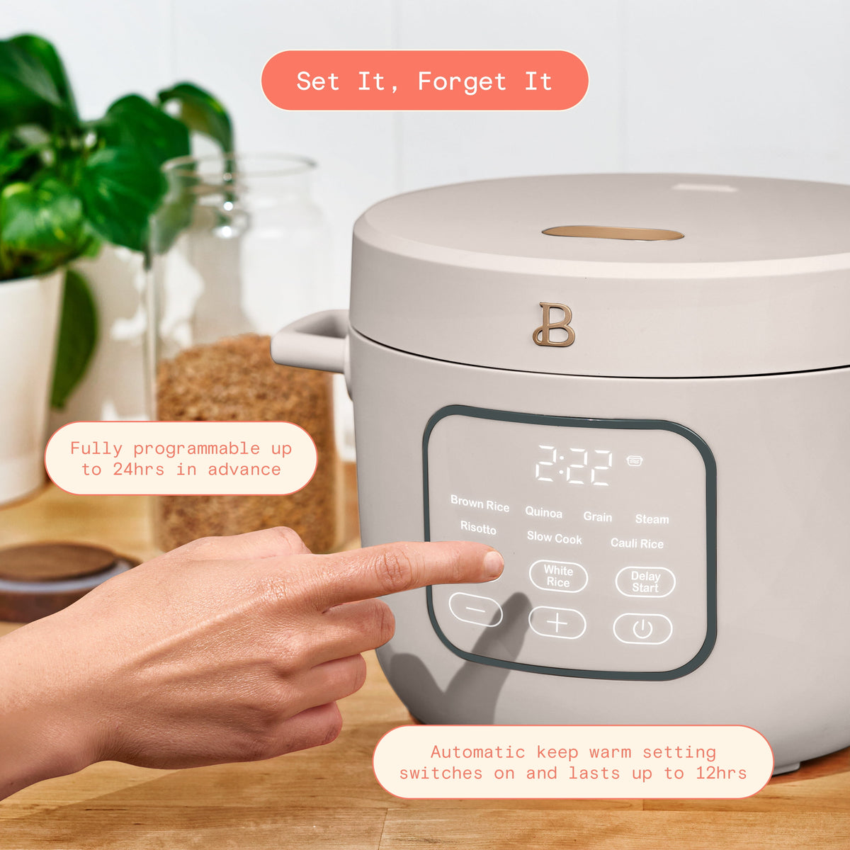 Beautiful 14-Cup Cooked, 6-Cups Uncooked Electric Rice and Grain Cooker, EverGood Ceramic Nonstick Coating, Thyme Green by Drew Barrymore