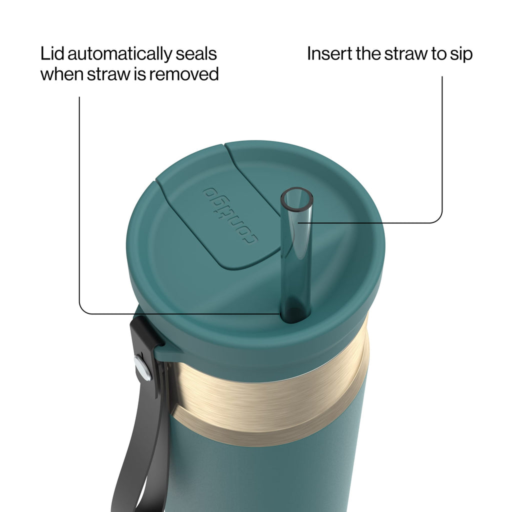 Contigo 24oz SnapSeal Insulated Stainless Steel Water Bottle with Straw, Licorice Black/Bronze